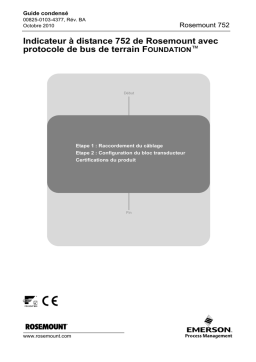 Rosemount 752 Indicateur à Distance | AI Chat & PDF