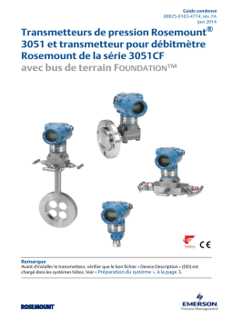 Rosemount 3051 CF Manuel utilisateur