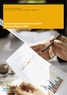 SAP Plateforme de BI Manuel utilisateur