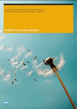 SAP SAP BusinessObjects Business Intelligence Manuel utilisateur