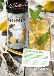 Sirop de Th&eacute; MONIN: Recettes | AI Chat &amp; PDF