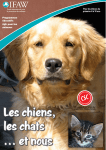 Programme &eacute;ducatif avec IA : Chiens, chats et nous