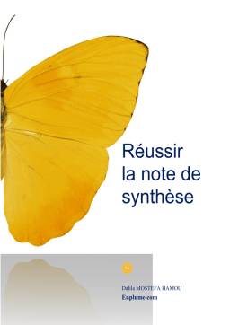 Enplume.com Note de synthèse Mode d'emploi