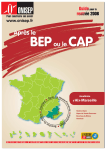 Orientation BEP/CAP: Guide d'aide avec IA