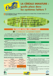 Guide C&eacute;r&eacute;ale Immature: AI Chat &amp; T&eacute;l&eacute;chargement PDF