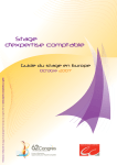 Stage d'expertise comptable: Guide + AI Chat &amp; PDF