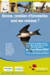 Guide Comptage des Hirondelles: AI Chat &amp; PDF