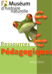 Mus&eacute;um d&rsquo;histoire naturelle ressource p&eacute;dagogique Mode d'emploi