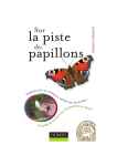 Guide sur la piste des papillons | AI Chat &amp; PDF Download