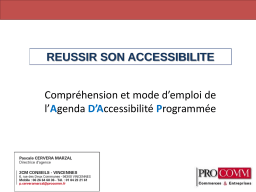 Guide Accessibilité ERP | AI Chat & PDF Download