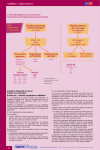 R&eacute;glementation Appareils de Cuisson: AI Chat &amp; PDF