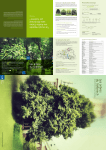 Guide des Arbres du Solbosch : AI Chat &amp; PDF Access