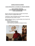 Buck Expert: 02BSYN, Wind Squeeze | AI Chat &amp; PDF