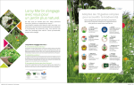 Solutions Jardinage Naturel | AI Chat &amp; PDF