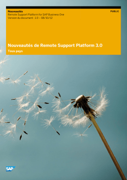 Remote Support Platform 3.0: AI Chat & PDF