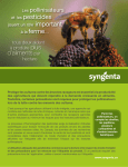 Syngenta: Protection Pollinisateurs + Chat IA &amp; PDF