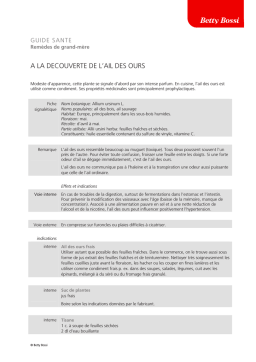 Ail des ours : Guide, Remèdes de grand-mère + Chat IA