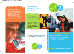 Remplacement de branchements d'eau | AI Chat & PDF Access