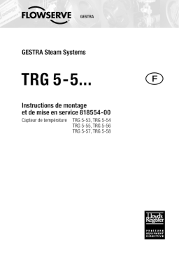 GESTRA TRG 5-5 : Instructions + Chat IA & PDF