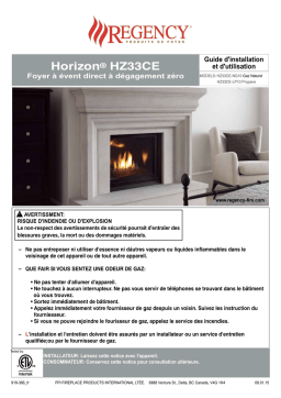 Regency Horizon HZ33CE-LP10 Manuel utilisateur