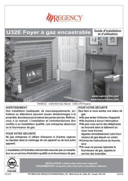 U32E-NG5, U32E-LP5 Foyer au gaz: Manuel + IA