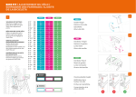 Ride V&eacute;lo d'int&eacute;rieur: Chat IA et t&eacute;l&eacute;chargement PDF