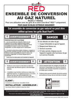 RED 4984625 : Manuel d'utilisation IA et PDF