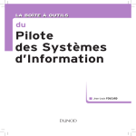 Dunod Pilote des Syst&egrave;mes d'Information Manuel utilisateur