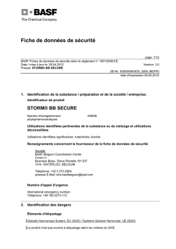 STORM BB SECURE Fiche de Sécurité | AI Chat & PDF