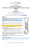 SLE1 &Eacute;l&eacute;ment de lest: Assistance IA et t&eacute;l&eacute;chargement PDF