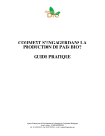 Comment s'engager dans la production de pain bio ? | AI Chat &amp; PDF Download