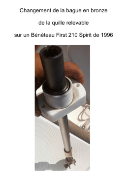 First 210 Spirit : Guide de réparation + AI