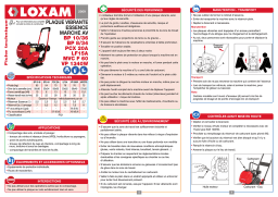 LOXAM BP 10/36 Fiche Technique: AI Chat & PDF