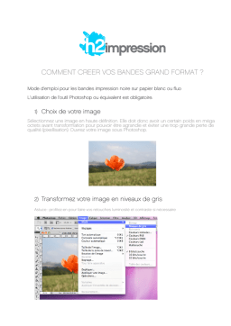 Bandes grand format: Tutoriel avec IA et PDF