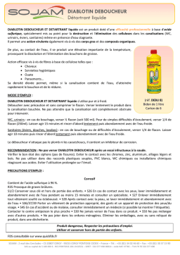 DEBU 8 Déboucheur Détartrant SOJAM | AI Chat & PDF