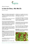 Baie de Chine (Wu-Wei-Zi) : Mode d'emploi + AI Chat