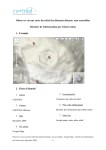 Google Maps : Guide d'observation du relief | IA Chat et PDF