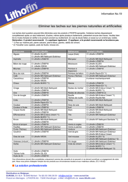 Guide Lithofin : Élimination des taches + Chat IA & PDF