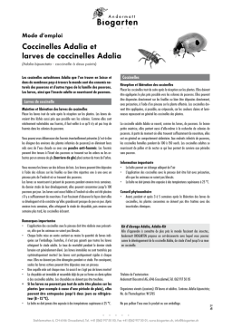 Adalia bipunctata: Guide d'Utilisation + Chat IA