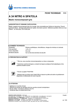 A34 Mastic à Spatule: Fiche Technique + AI Chat