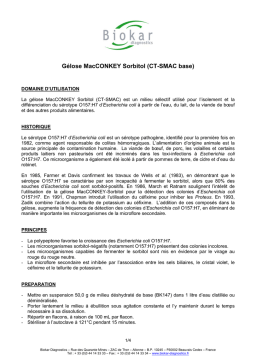 Gélose MacCONKEY Sorbitol CT-SMAC | AI Chat & PDF