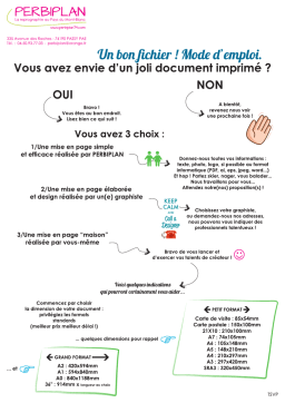 Guide PERBIPLAN : Préparation de fichiers + IA