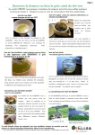 OBUBU UJI Th&eacute; Vert Kabuse : Chat IA &amp; T&eacute;l&eacute;chargement PDF