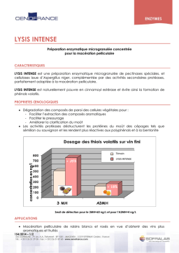 LYSIS INTENSE: Chat IA & Téléchargement PDF