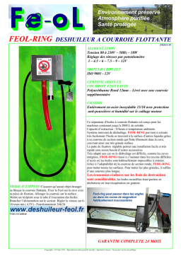 FEOL-RING FR2011-04: Chat IA et téléchargement PDF