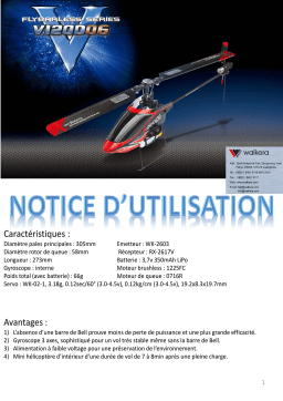 Flybarless Series V120D06 : Chat IA et PDF