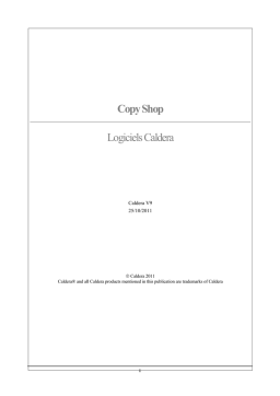 V9 CopyShop Manuel d'utilisation | AI Chat & PDF Access