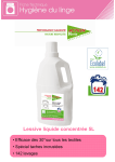 Action Verte Lessive Liquide Concentr&eacute;e : Chat IA &amp; PDF