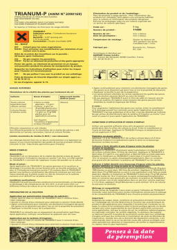 TRIANUM-P : Chat IA et Téléchargement PDF