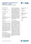 Cytokeratin 5 + 14 : Chat IA &amp; T&eacute;l&eacute;chargement PDF